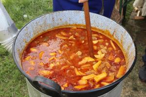 Kovačeva domačija in proslava ob dnevu državnosti 2018 32